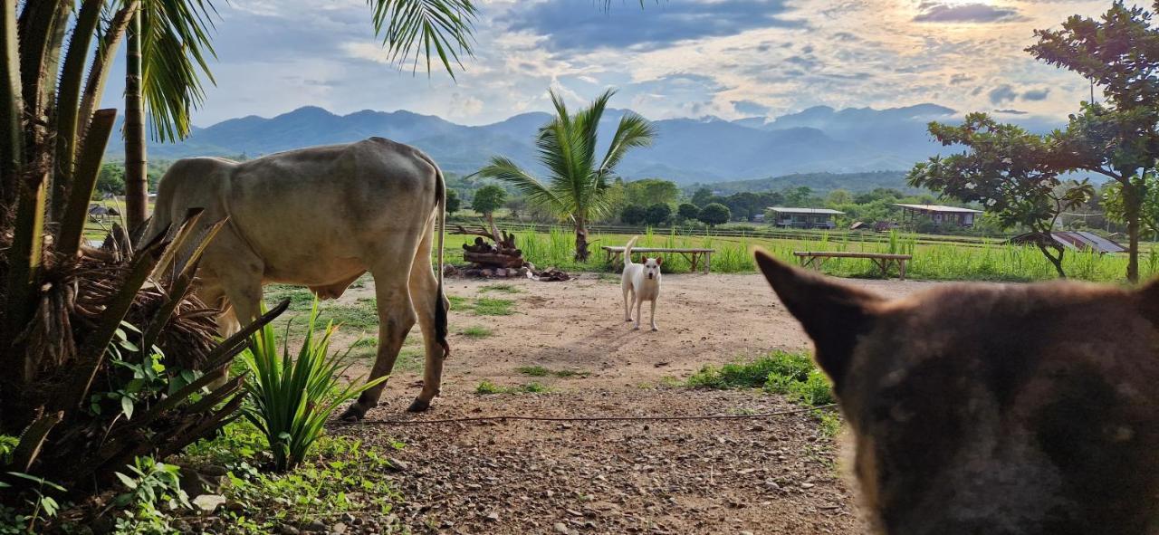 Atlas Valley (Adults Only) ปาย ภายนอก รูปภาพ